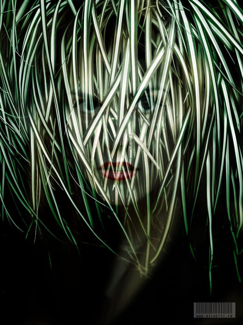 Grassy mane ~ Estampe numérique © Julien Richetti, artiste photographiste
