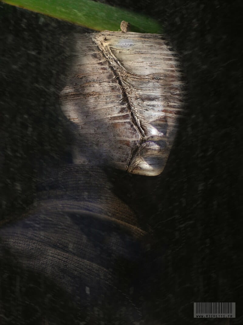 Mlle Bambou ~ Estampe numérique © Julien Richetti, artiste photographiste