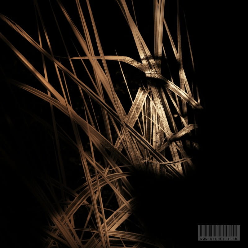 « Samothrace VI » photographisme de la série Hures-Persona © Julien Richetti, 2013 (impression format carré sur dibond)