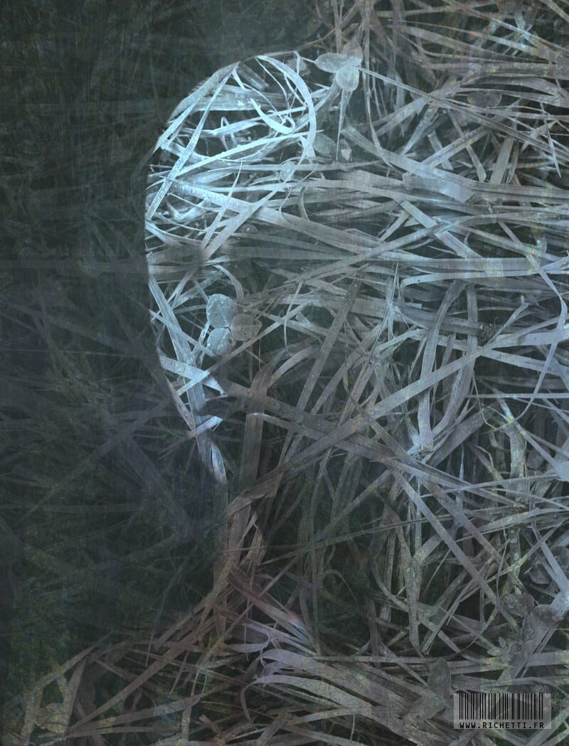 Les tagliatelles bleues ~ Estampe numérique © Julien Richetti, artiste ...