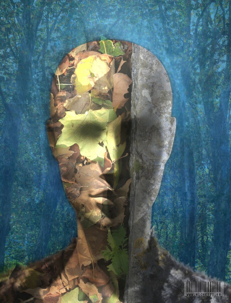 « Bleu d'automne » photographisme © Julien Richetti, 2013 (impression format portrait 3:4 sur dibond)