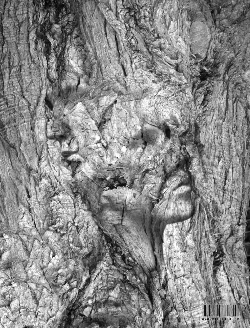 « Janus bifrons » photographisme © Julien Richetti, 2015 (impression format portrait 3:4 sur dibond)