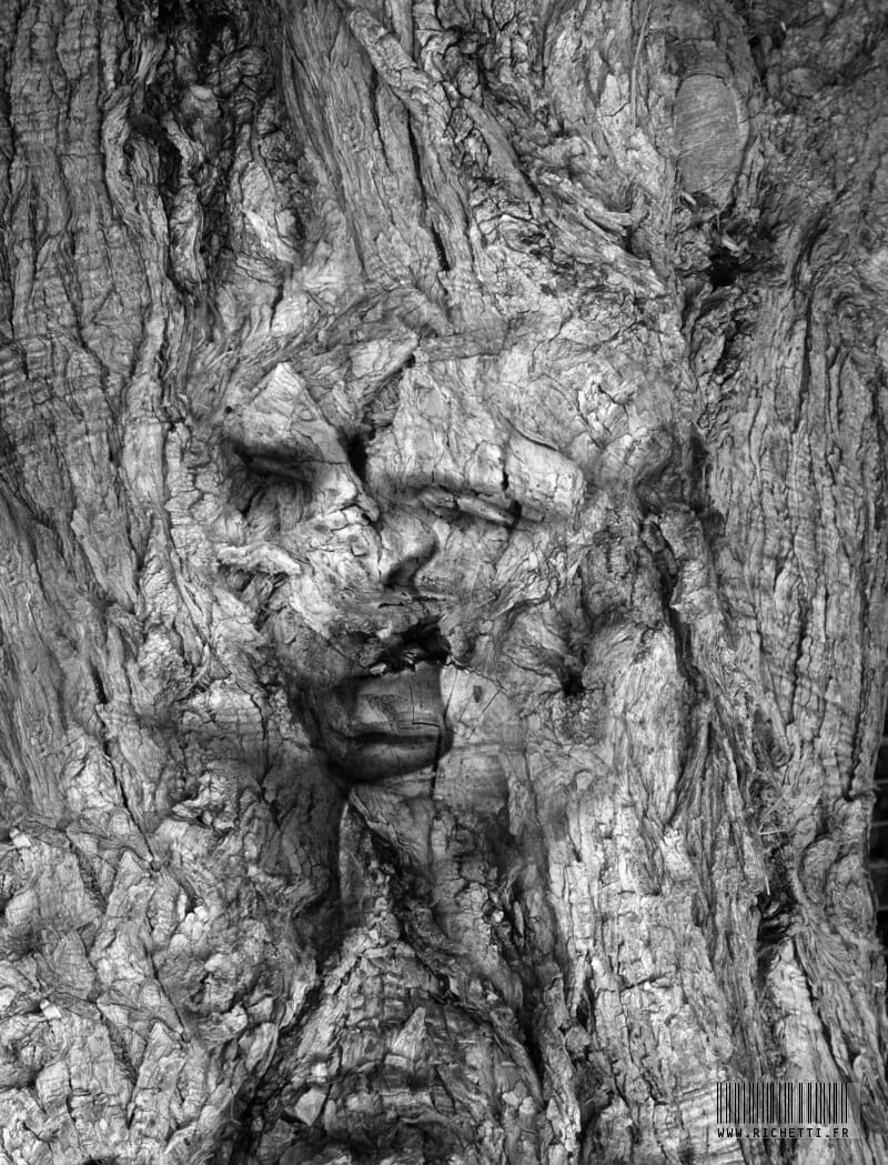 Elvire et Zéphyr II ~ Estampe numérique © Julien Richetti, artiste ...