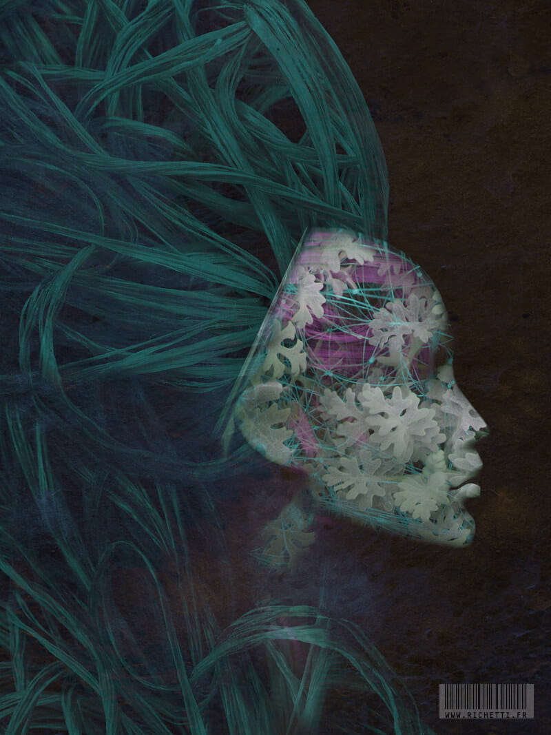 Le Cresson bleu (et salade de violettes) ~ Estampe numérique © Julien ...