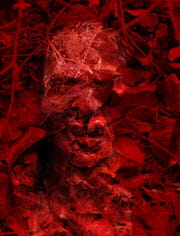 « Le Cri de la carotte » photographisme de la série Les Poisons © Julien Richetti, 2014 (impression format portrait 3:4 sur dibond)