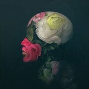 « Fleur de pomme » photographisme © Julien Richetti, 2013 (impression format carré sur dibond)