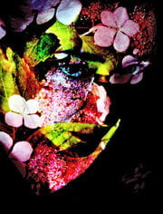 « Femme fleur VIII, couleur » photographisme de la série Les Félicitées © Julien Richetti, 2012 (impression format portrait 3:4 sur dibond)