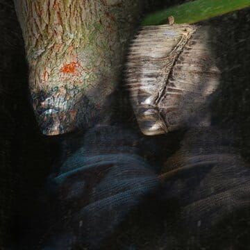 « L’inquisiteur et Mlle Bambou » photographisme de la série Les Misérables (duo) © Julien Richetti, 2016 (impression format carré sur dibond)