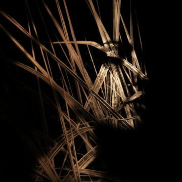 « Samothrace VI » photographisme de la série Hures-Persona © Julien Richetti, 2013 (impression format carré sur dibond)