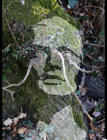 « Le sous-bois » photographisme de la série Vital © Julien Richetti, 2014 (impression format portrait 3:4 sur dibond)