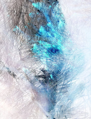 « La coiffe bleue » photographisme de la série Les Célestes © Julien Richetti, 2014 (impression format portrait 3:4 sur dibond)