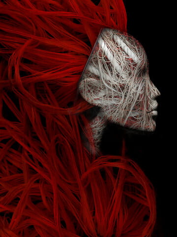 « Le cresson rouge (les nerfs à vif) » photographisme de la série Les Anatomixtes © Julien Richetti, 2016 (impression format portrait 3:4 sur dibond)