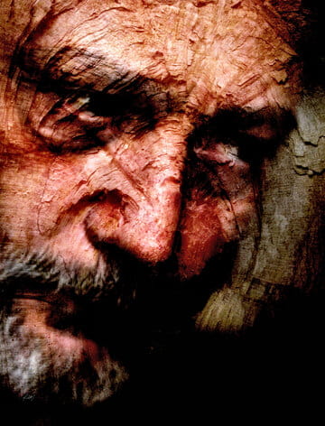 « Tête de bois II » photographisme de la série Les têtes de bois © Julien Richetti, 2011 (impression format portrait 3:4 sur dibond)
