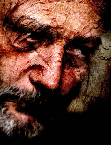 « Tête de bois II » photographisme de la série Les têtes de bois © Julien Richetti, 2011 (impression format portrait 3:4 sur dibond)