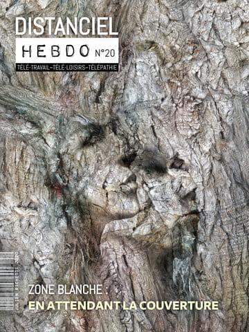« Distanciel Hebdo 20 » photographisme de la série Distanciel Hebdo © Julien Richetti, 2020 (impression format portrait 3:4 sur dibond)