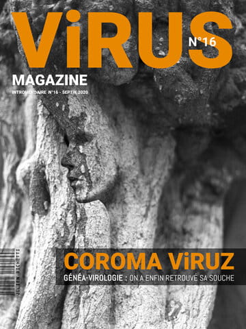 « Virus Magazine n°16 » photographisme de la série Virus Magazine © Julien Richetti, 2020 (impression format portrait 3:4 sur dibond)
