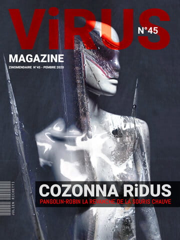 « Virus Magazine n°45 » photographisme de la série Virus Magazine © Julien Richetti, 2020 (impression format portrait 3:4 sur dibond)